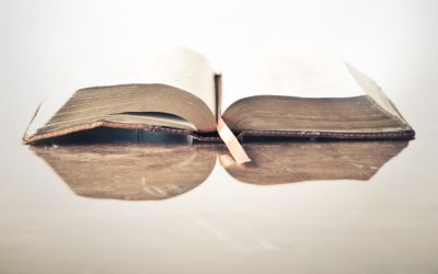 The Uniqueness of the Bible